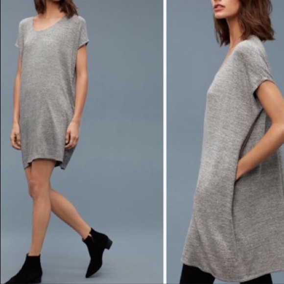 Aritzia T-Shirt Dress